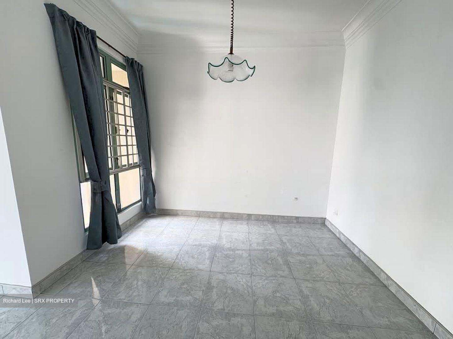 Hillview Park (D23), Condominium #577169541